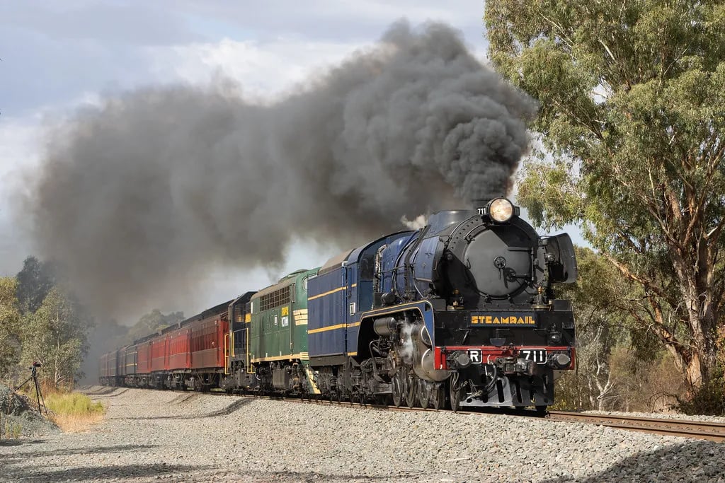 A black steam locomotive labeled "STEAMRAIL" pulls a train of red, green, and blue passenger cars, emitting a large plume of dark smoke. Trees and vegetation are