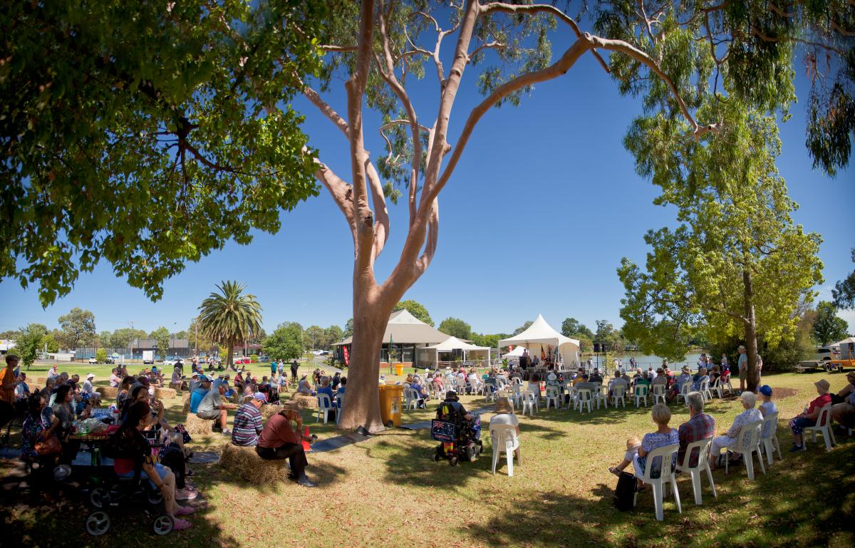 A large tree with light-colored bark and sprawling branches provides shade for a gathering of people seated on white chairs beneath its canopy. White tents are visible in the background against a clear blue sky