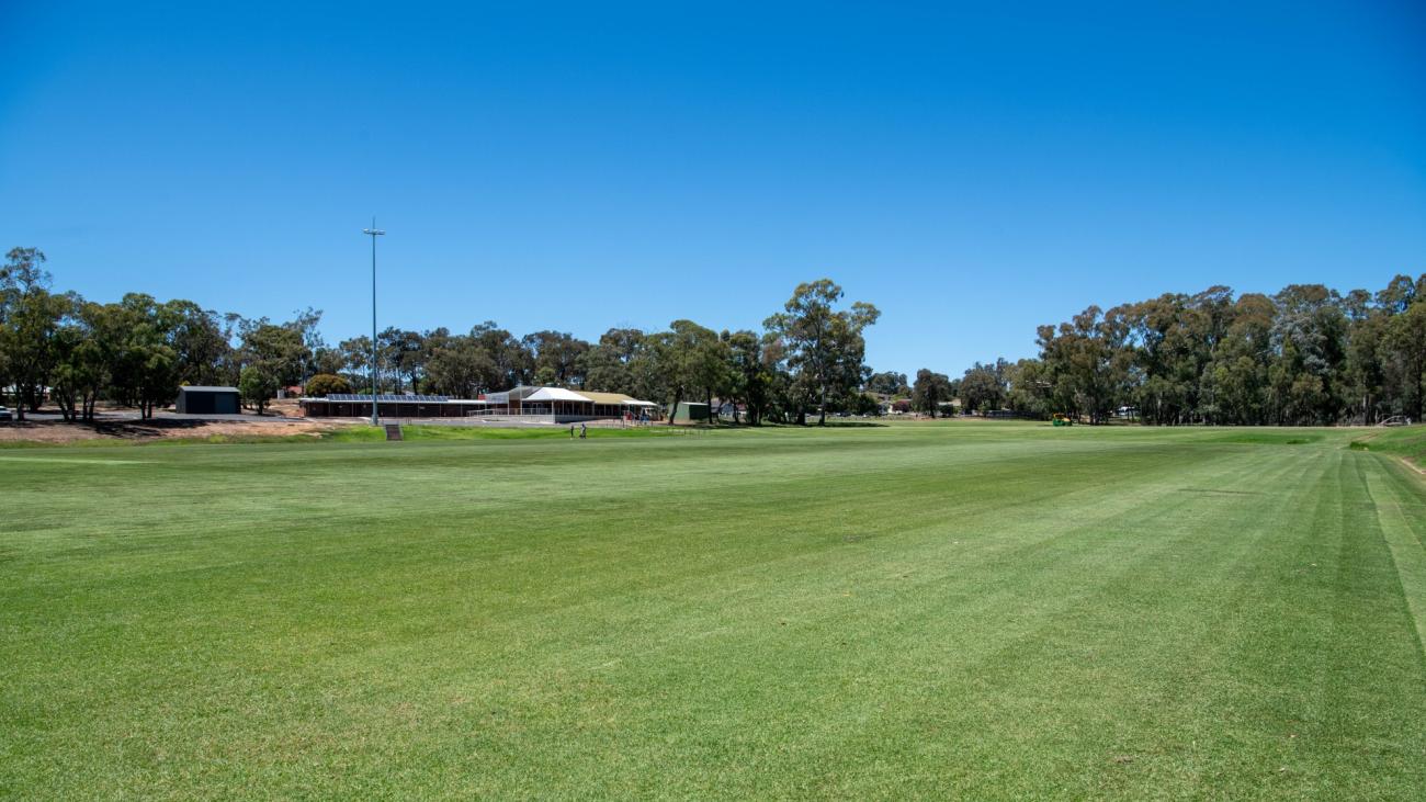 A wide, green grassy field stretches towards the horizon, with a line of trees and a few structures visible in the distance under a clear blue sky. A tall pole stands near the left edge