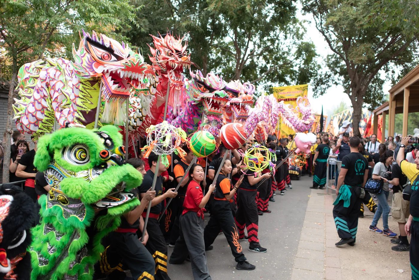 A group of people in black clothing with colorful accents carry large, colorful dragon heads and balls down a paved street lined with trees.