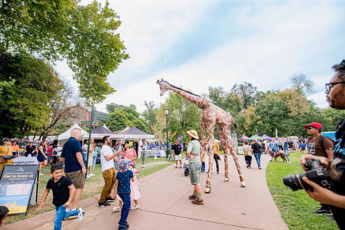 A giraffe stands tall on a paved path, attracting the attention of onlookers in a park-like setting with tents and trees in the background.