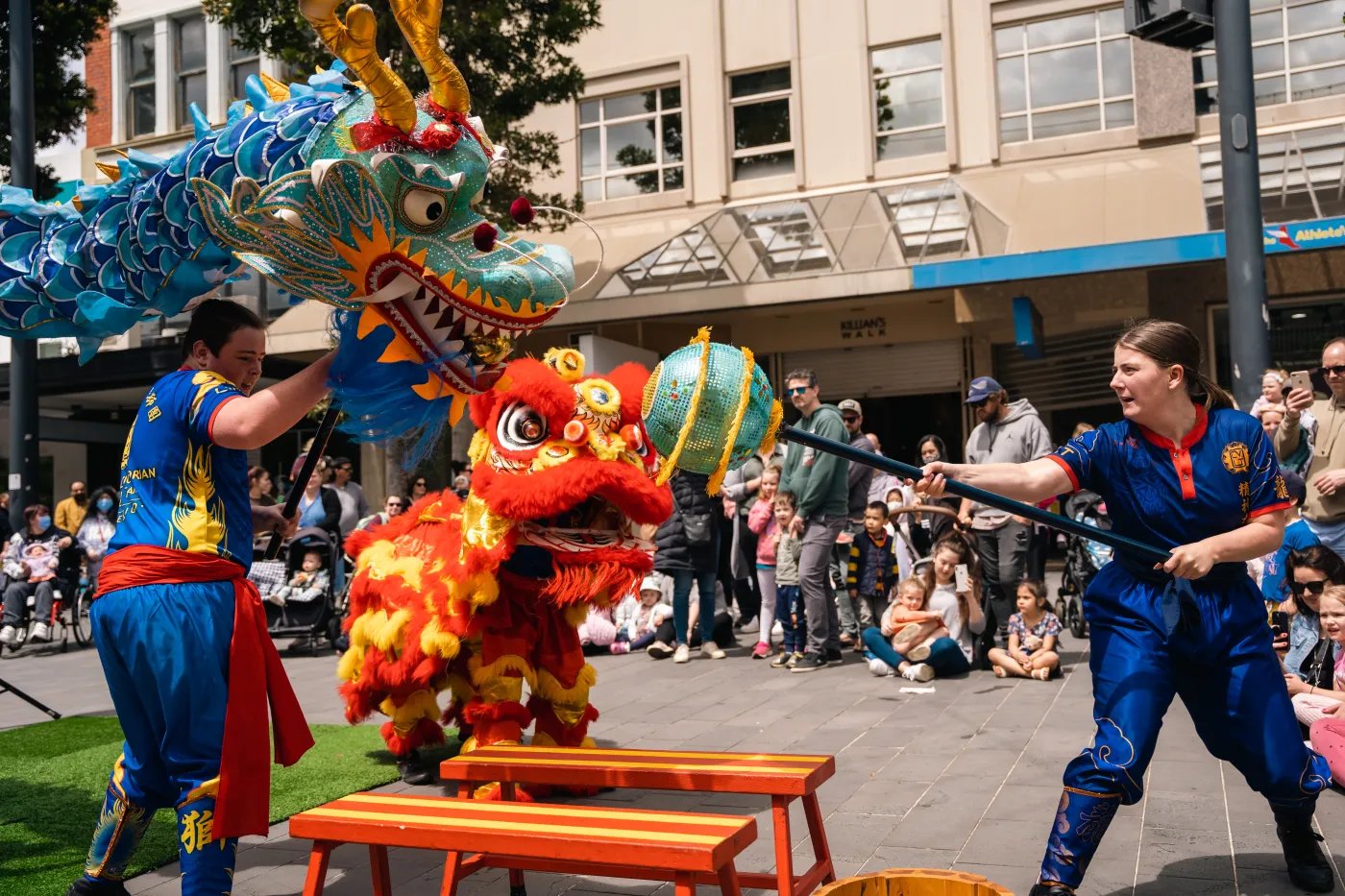 Two performers in blue and red costumes hold a large dragon head with colorful decorations and a long black stick, facing a crowd seated on benches in an urban setting.